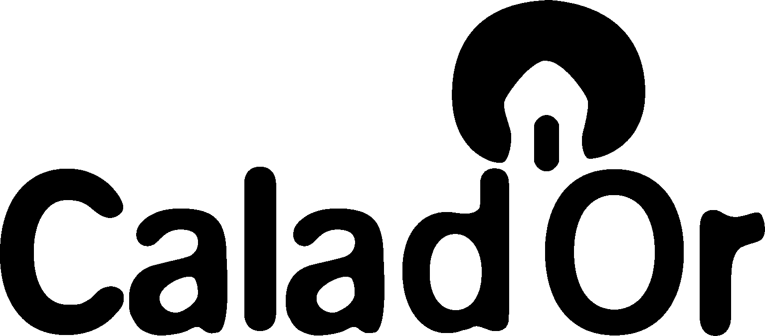 logo cala dor png (1)